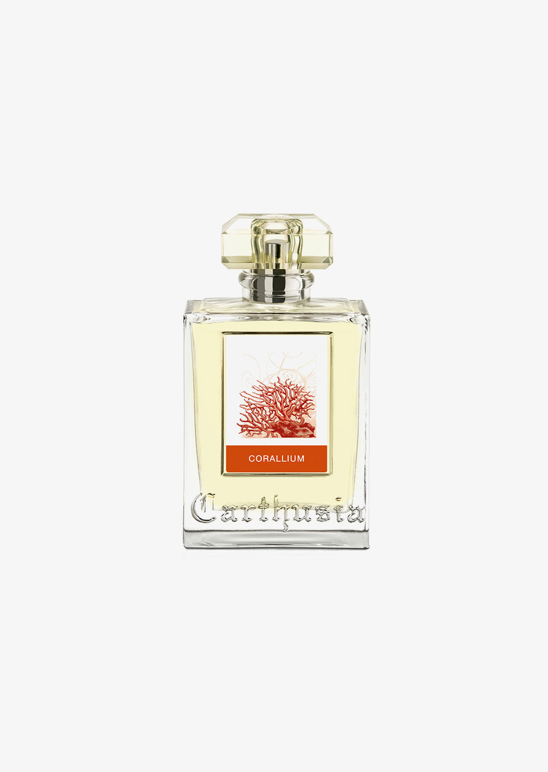 Carthusia: CORALLIUM