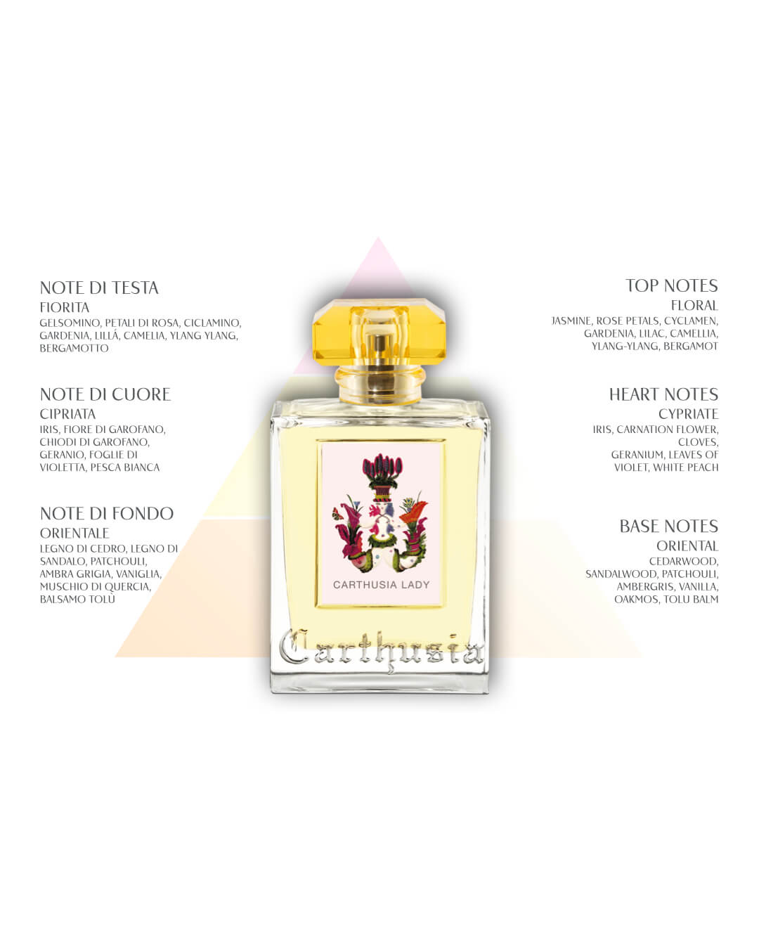 Carthusia: LADY