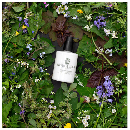 NOBLE ISLE : Body Lotion, Cream & Oil Summer Rising