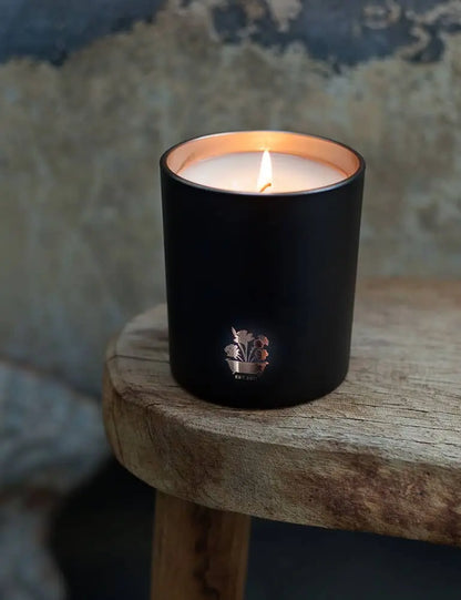 NOBLE ISLE : Fine Fragrance Candles Willow Song
