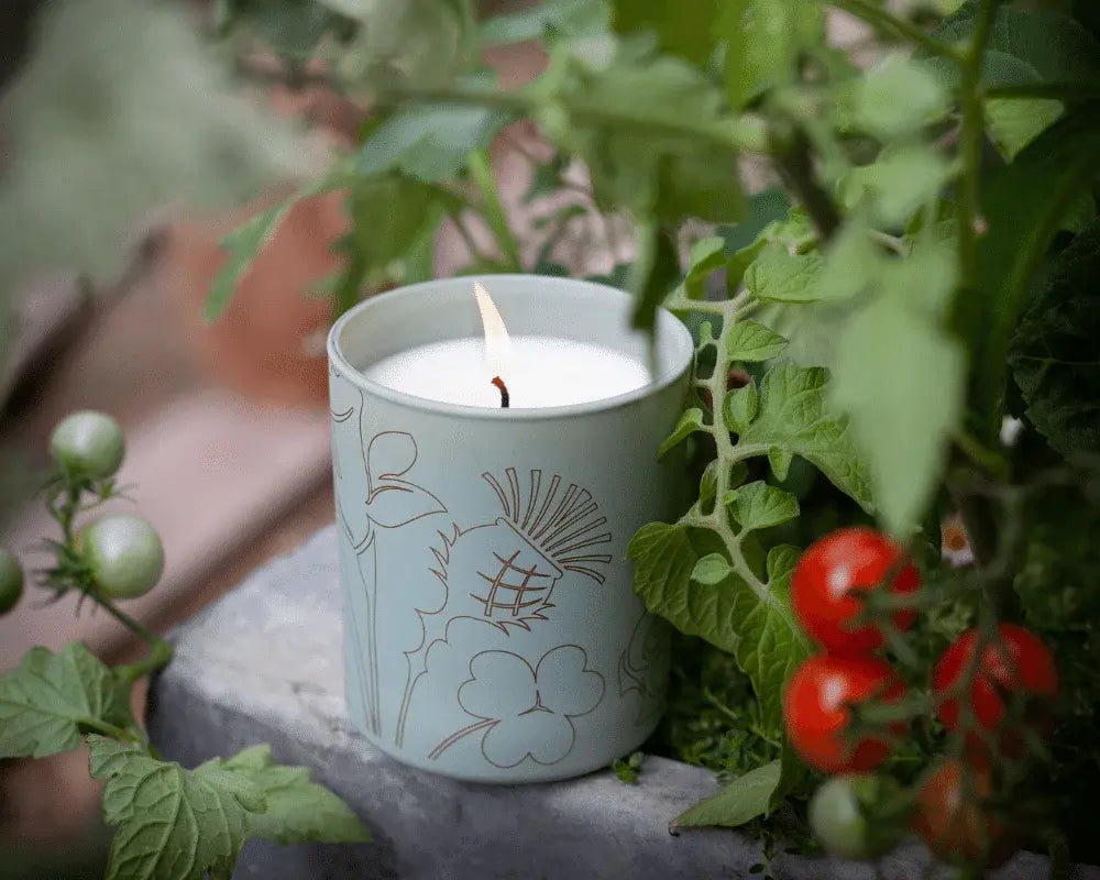 NOBLE ISLE : Fine Fragrance Candles The Greenhouse