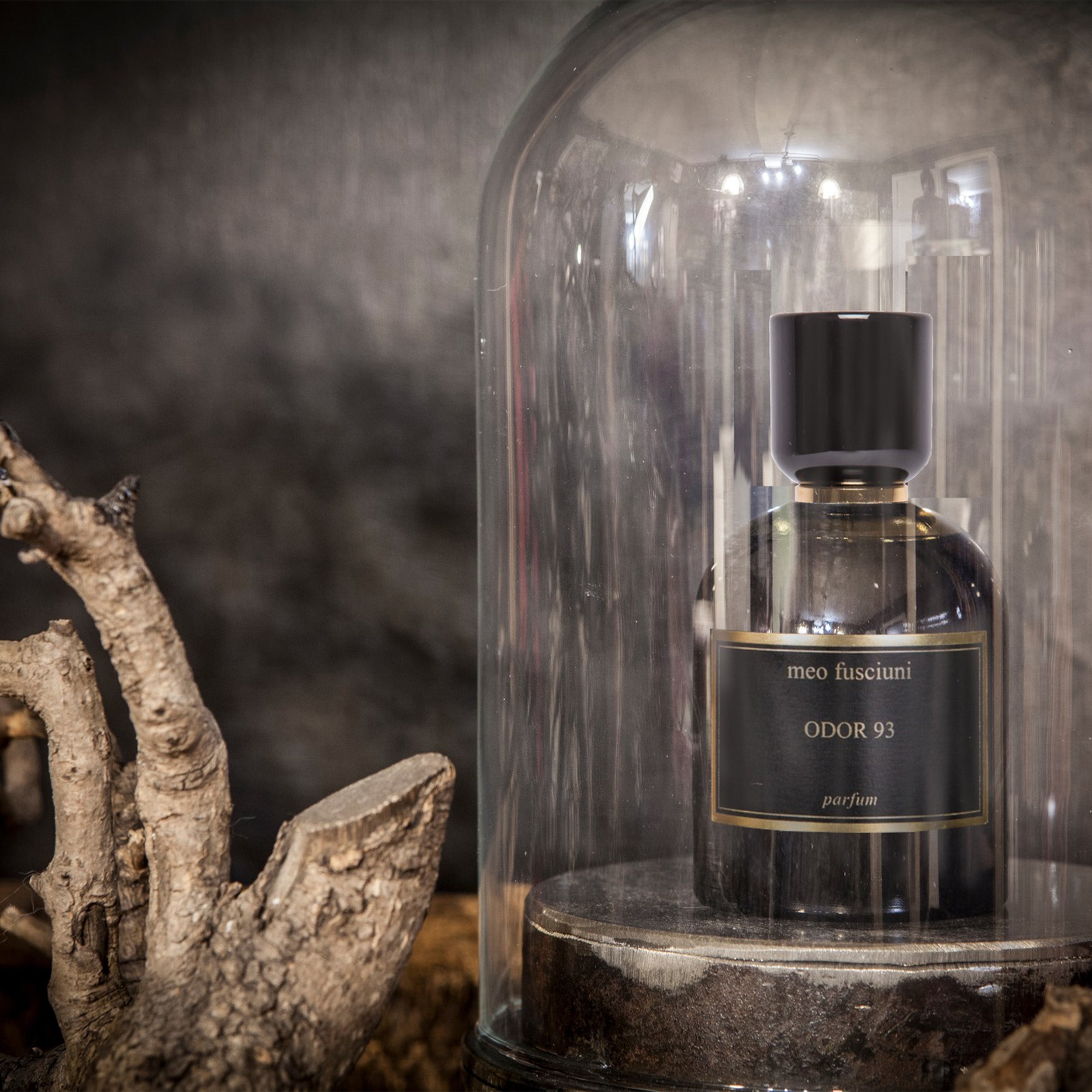 Meo	Fusciuni: ODOR 93